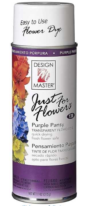Purple Pansy