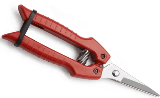 Red Flower Scissors