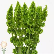 green bells of ireland