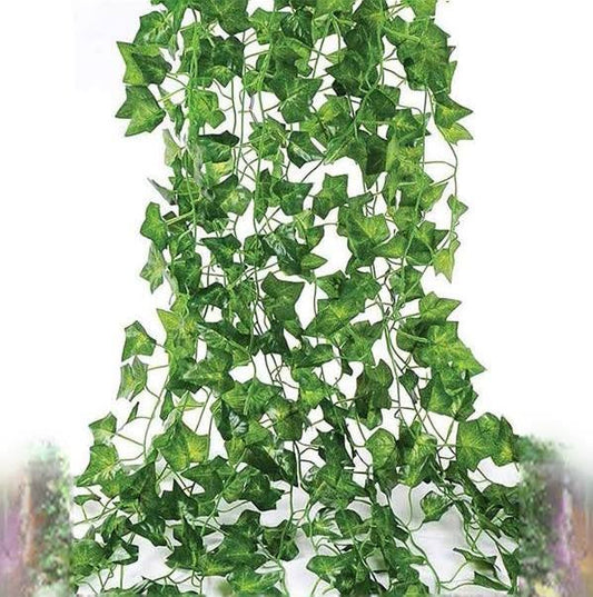 Ivy leaf