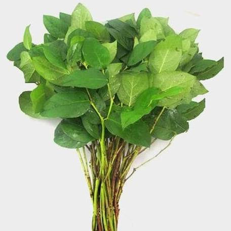 Lemon leaf